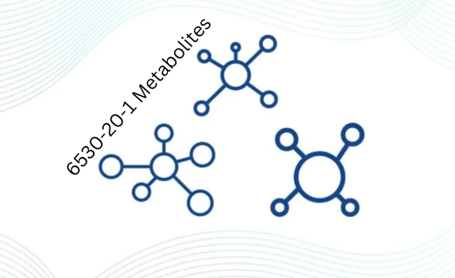 6530-20-1 metabolites