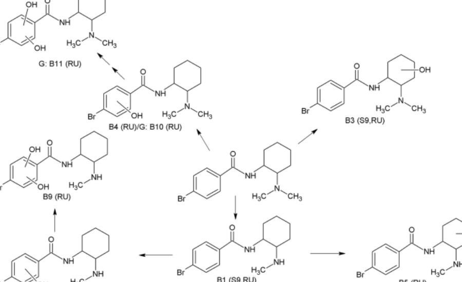 6530-20-1 metabolites