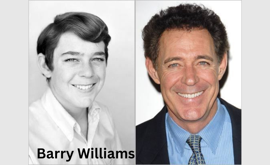 barry williams net worth