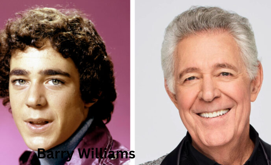 barry williams net worth