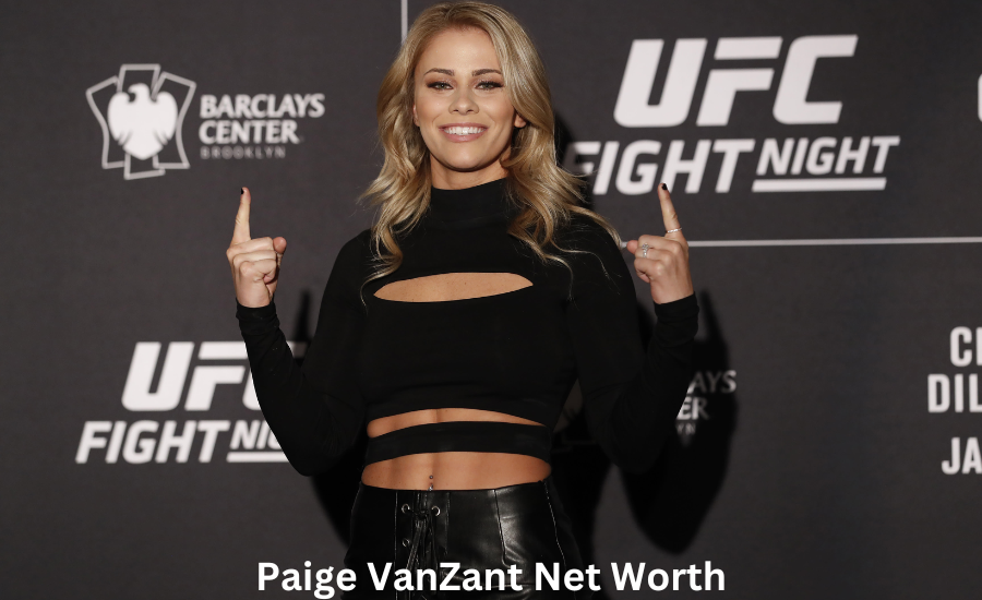 paige vanzant net worth