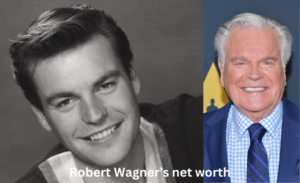 robert wagner net worth