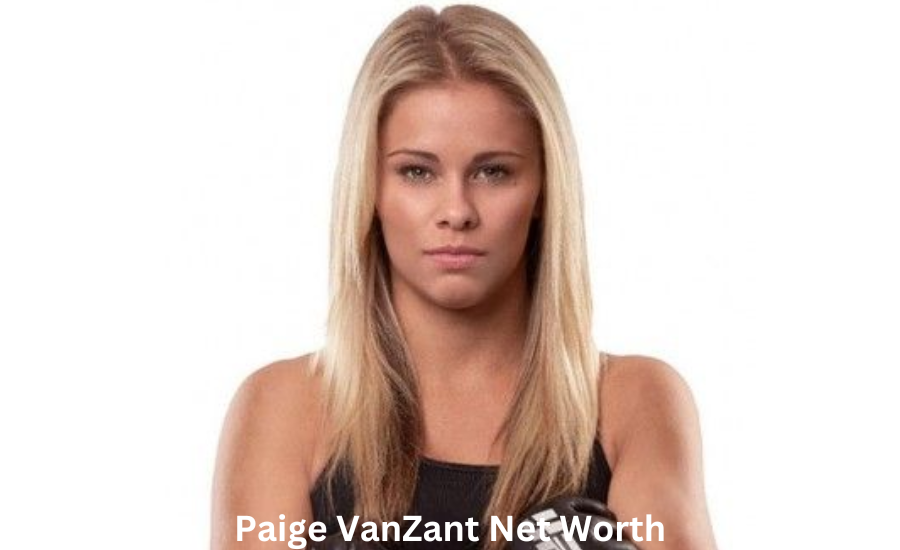 paige vanzant net worth