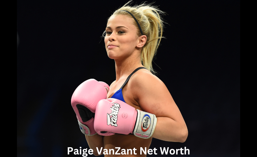 paige vanzant net worth